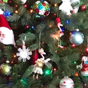 Meet your Posher, Lynn